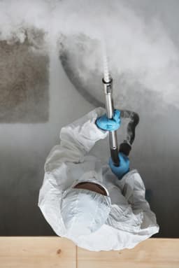 Mold Remediation Cost in Houston: 2025 Pricing Guide