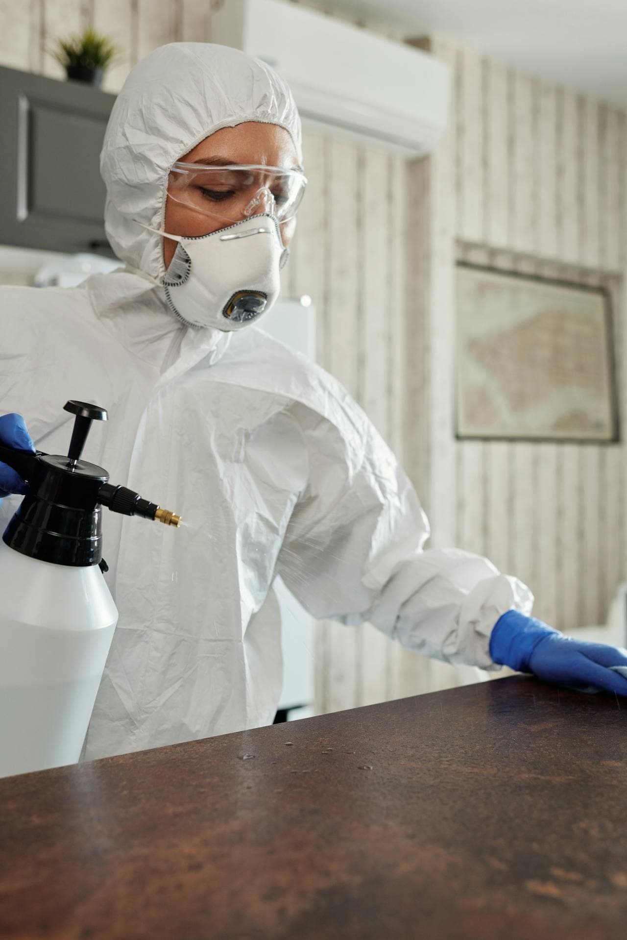 Professional mold remediation in Houston